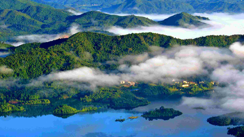 野生動植物調查監(jiān)測指揮與管理系統(tǒng)